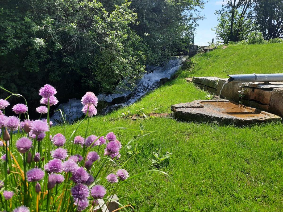 Domaine Du Moulin De Jeanne Otel Courlaoux Dış mekan fotoğraf