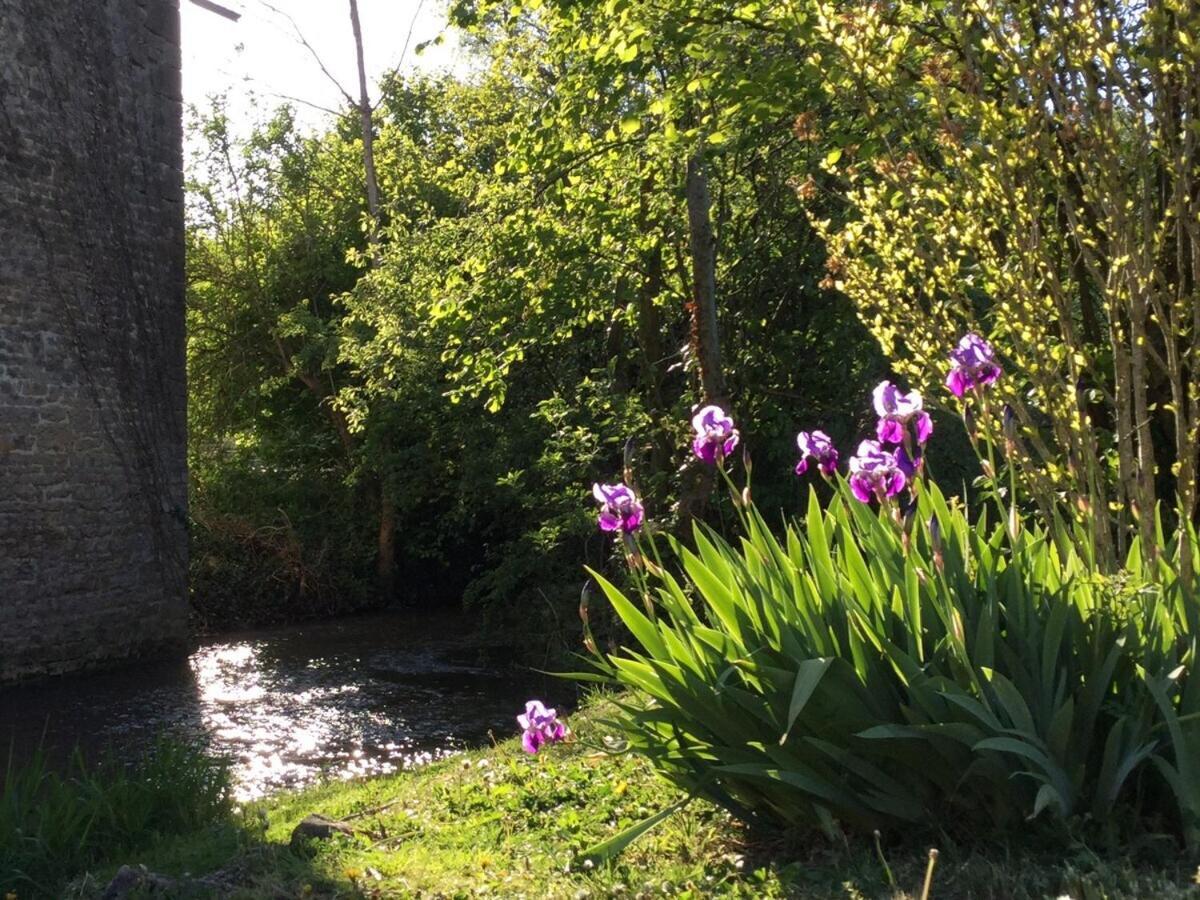 Domaine Du Moulin De Jeanne Otel Courlaoux Oda fotoğraf