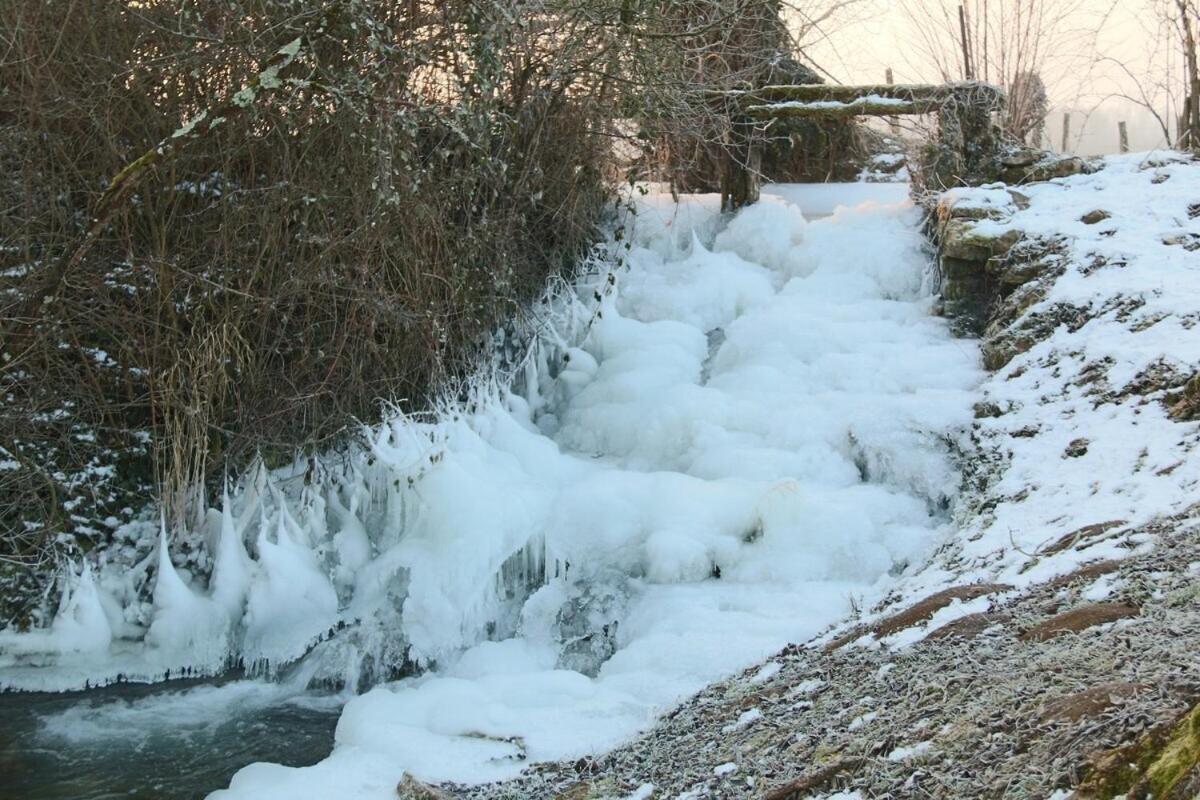 Domaine Du Moulin De Jeanne Otel Courlaoux Oda fotoğraf