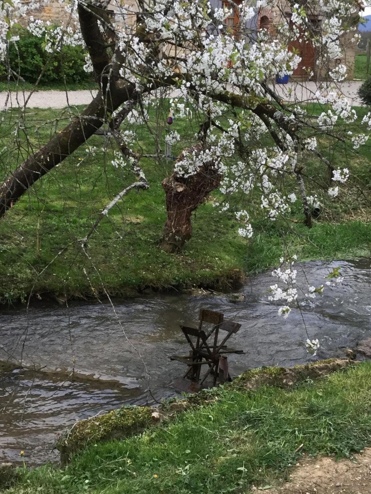 Domaine Du Moulin De Jeanne Otel Courlaoux Oda fotoğraf