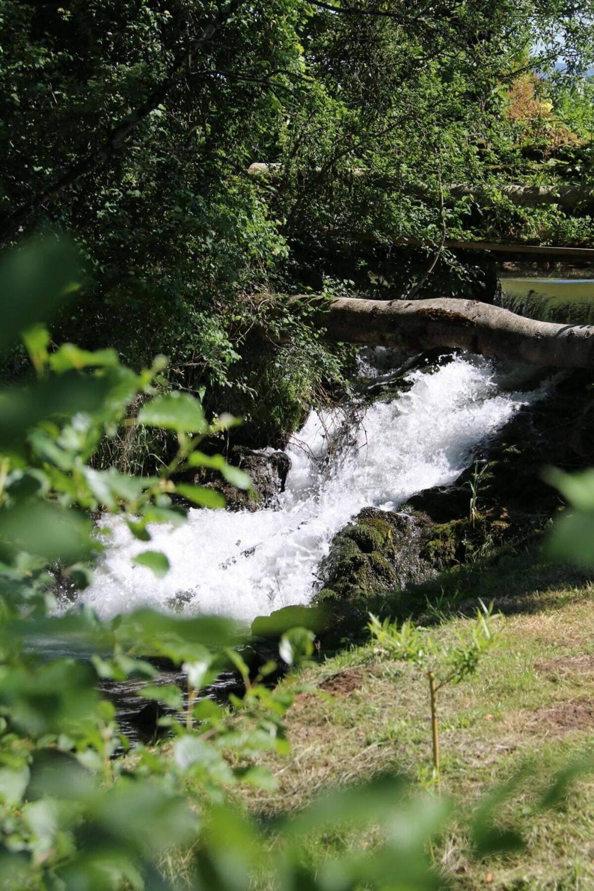 Domaine Du Moulin De Jeanne Otel Courlaoux Oda fotoğraf