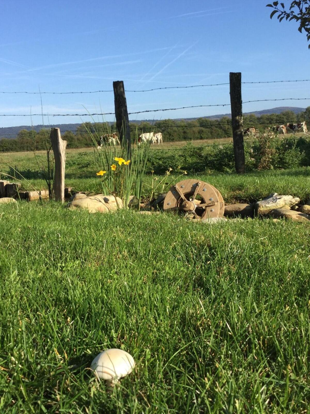 Domaine Du Moulin De Jeanne Otel Courlaoux Oda fotoğraf